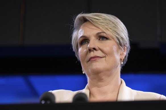 Environment Minister Tanya Plibersek has called the BoM’s rebranding “ridiculous”. 