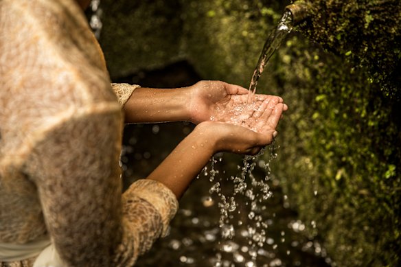 Participating in a water purification ritual  is a fine way to connect more deeply with Balinese culture.
