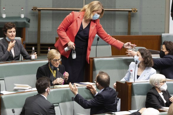 Greens leader Adam Bandt speaks with crossbench MP Zoe Daniel after the administration of the oath or affirmation of allegiance to members in the House of Representatives. 