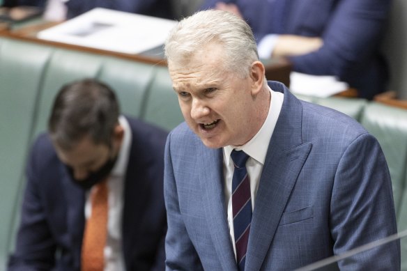 Workplace Relations Minister Tony Burke debating in parliament earlier this year. 
