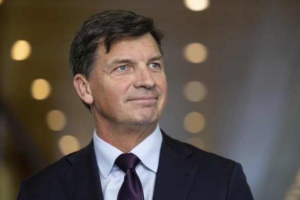 Shadow treasurer Angus Taylor.