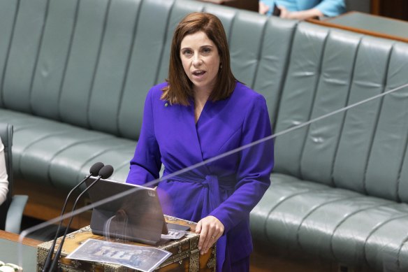 Aged Care Minister Anika Wells says the government’s reforms will deliver more care, but providers say they will struggle to meet staffing mandates.