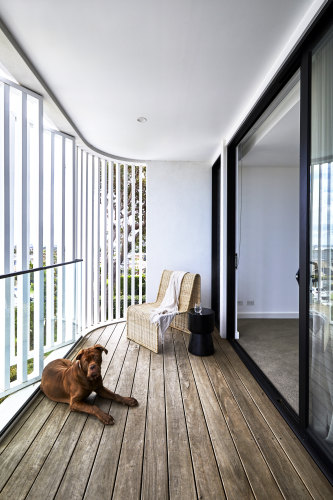 A curved balcony with screens overlooks the street, making it Dora’s favourite spot. Matt-finished Blackbutt boards have been naturally “greyed off” by the sun.  