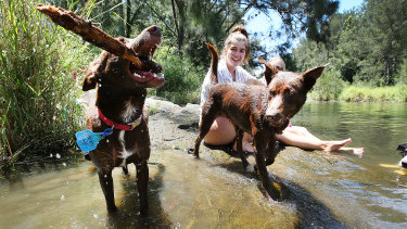 Locals Courtney Marshall and Amy-Lee Pascoe cool off with their kelpies at the Bunya Crossing Reserve, North of Brisbane, earlier in the month.