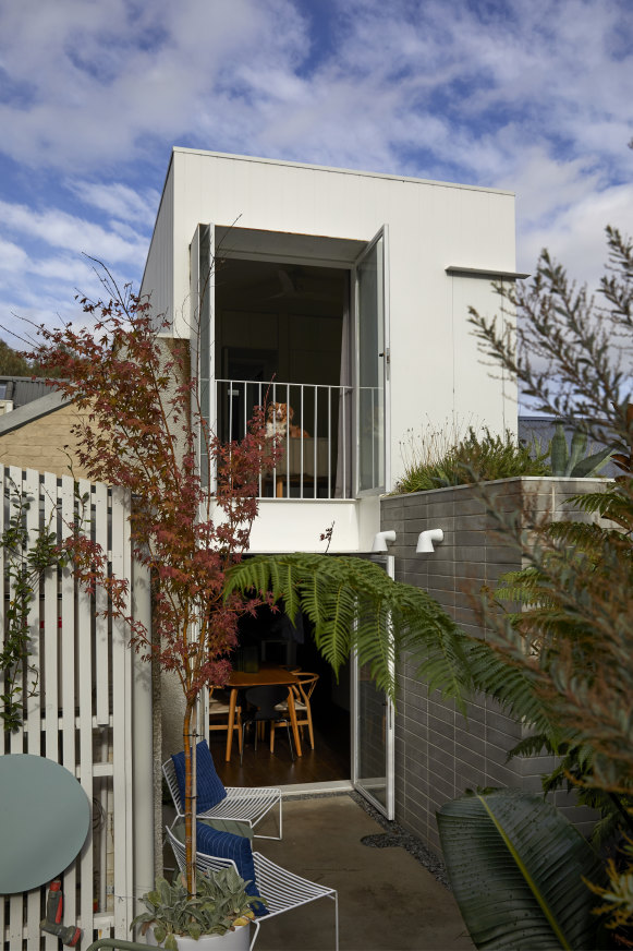 An angled outdoor space leads to a shed and rear-lane access. Williams says the connection to the courtyard, which lets in plenty of natural light, was key.