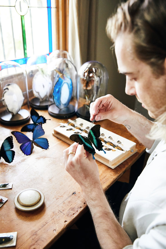 “Pinning and preserving butterfly and moth specimens is quite a complex procedure that requires me to slow down to achieve precision and perfection. It’s actually quite meditative, and a quality I like to instill into my artworks,” says Jason.