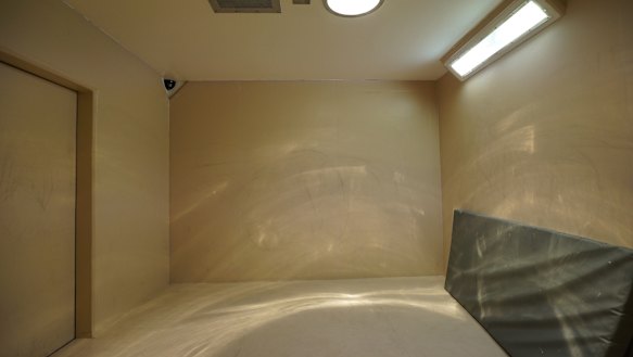 Disabled prisoner put in solitary confinement for 19 years: Report