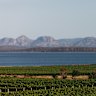 The Hazards in the distance, across the water from Moulting Lagoon and the vines of Devil’s Corner.