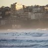 Beaches metro, negative gearing crackdown: The surprising policies backed by NSW Young Libs