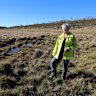 After the cull: How Kosciuszko is slowly stirring back to life