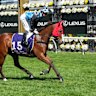 Tips and previews for racing at Randwick on Saturday
