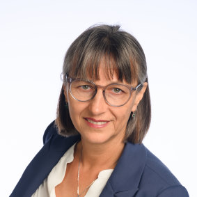 Professor Ana Deletic