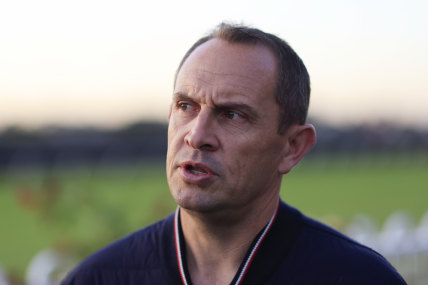 Midas touch: Chris Waller will be crowned Sydney’s champion trainer for a 10th consecutive season.