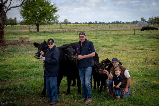 Four generations of the Collins family at Merridale in Tennyson, northern Victoria. Left to right: Phil, 93, Peter, 62, Brodie, 31, and Eddie, 2.