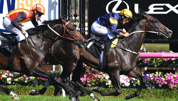 Hard yards: Damien Oliver salutes on Grunt in the Australian Guineas.