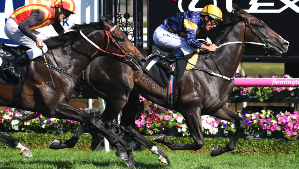 Damien Oliver salutes on Grunt in the Australian Guineas.