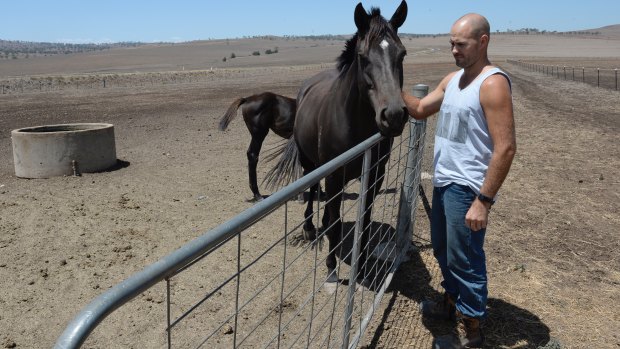 Alex Kean with his horses on his property near Merriwa in the remarkably dry Upper Hunter region of NSW.