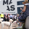 Let’s all get behind the Powerhouse Museum renovation