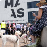 Let’s all get behind the Powerhouse Museum renovation