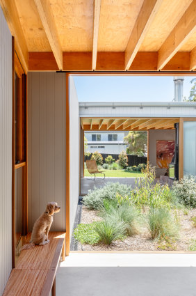 An internal courtyard is filled with edible plants.