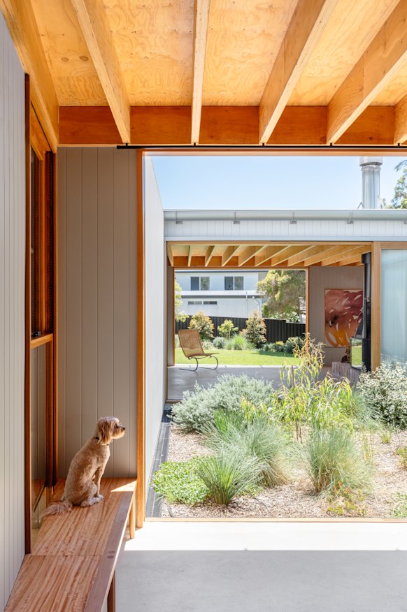 An internal courtyard is filled with edible plants.