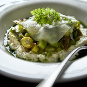Almond ricotta with asparagus, melon and parsley oil.