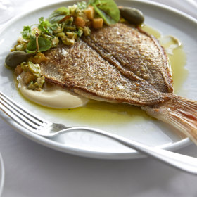 Line-caught butterflied baby snapper with smoked garlic aioli.