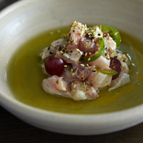 Snapper crudo with salted green apple.