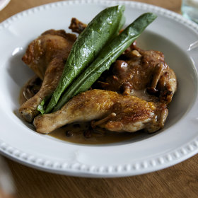 Spatchcock fricassee with a creamy foie gras sauce.