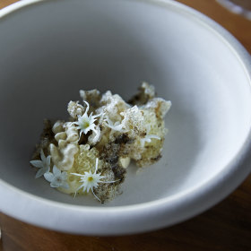 Smoked eel cream, sea cucumber and young walnuts.
