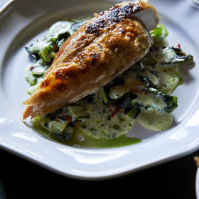 Chicken with green chicory, horseradish and goji berry sauce.