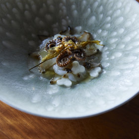 Wild blacklip abalone, young octopus and raw scallops.
