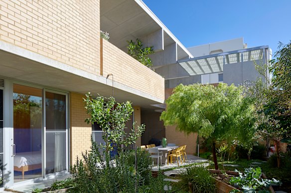 The two-home Eric Street building occupies just half of its 426-square-metre site, allowing for the preservation of deep soil to promote the growth of tall trees.