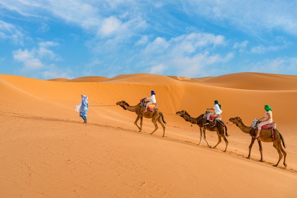 Camel rides in the dunes.