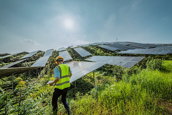 Worker checking solar panels
