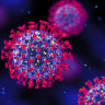 What’s JN.1? Meet the new COVID-19 variant doubling hospitalisations