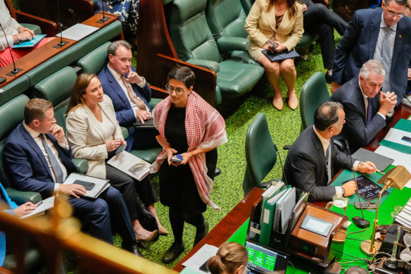Greens MP Gabrielle de Vietri was asked to leave the floor of  parliament last week for wearing the keffiyeh. 