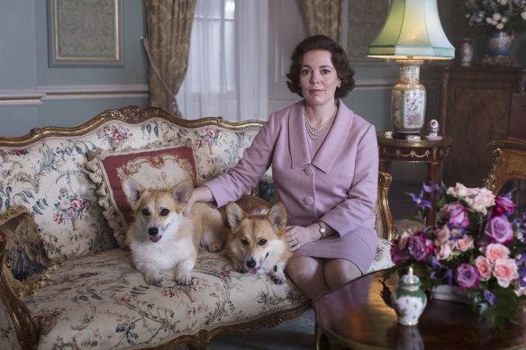 Colman with queenly corgis.