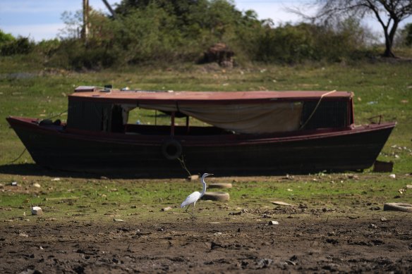 A bird walks past a boat sitting on the side of the almost dried up Payagua stream, a tributary of the Paraguay River.
