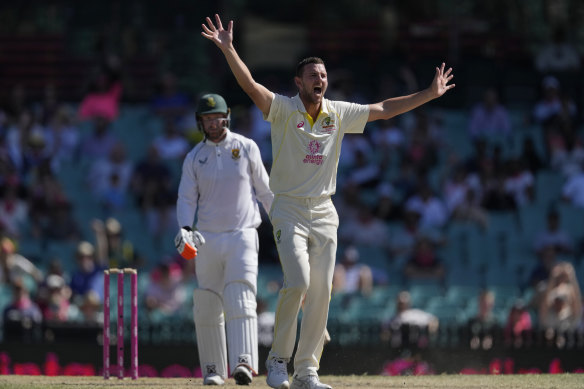 Josh Hazlewood during his most recent Test appearance, at the SCG against South Africa.