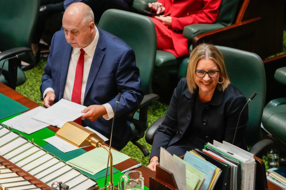 Treasurer Tim Pallas and Premier Jacinta Allan in parliament.