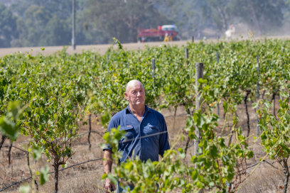 Andrew Pawsey among the grapevines at Mountainside Wines in Warrak, where smoke from the bushfires has likely tainted the grapes.