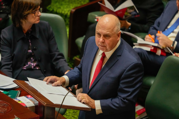 Treasurer Tim Pallas delivers the Victorian budget in parliament on Tuesday.