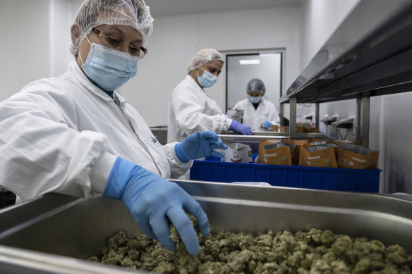 Workers pack medical cannabis, at UNIVO Pharmaceuticals in Israel.