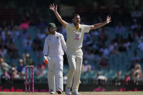 Australia's Josh Hazlewood appeals to a wicket.