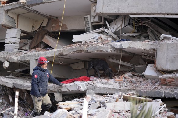 Cuma günü Türkiye'nin güneydoğusundaki Antakya'da yıkılan bir binada arama yapan bir kurtarıcı, arama köpeğiyle arama yaptı. 