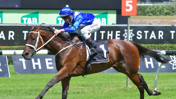 Simply the best: Winx has the world calling as she starts her autumn campaign in the Chipping Norton Stakes at Randwick on Saturday