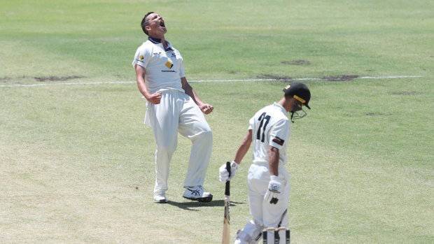 Victoria's Chris Tremain celebrates taking the wicket of WA's Josh Philippe.