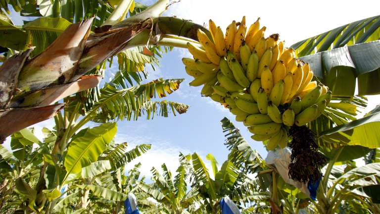 5adcfdf0a42b5d07b33f2f6936fa08124975f996