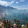Julia Pound shared images from her holiday in the Alps and her followers assumed they were AI-generated. 